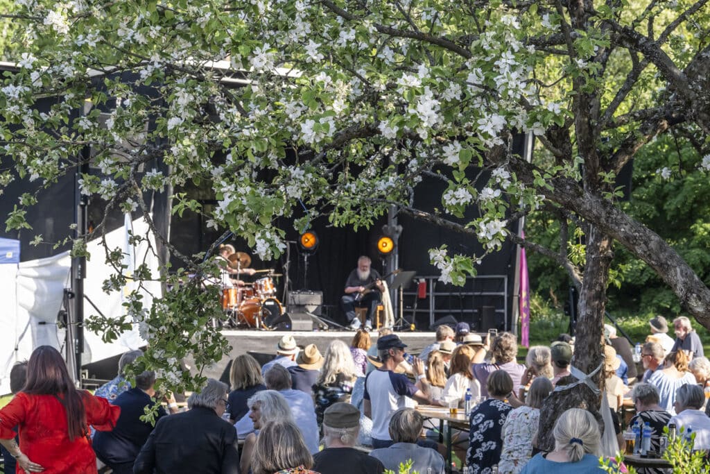 Jon Eberson trio bak blomstrende epletrær på Nesodden Jazzfestival. Foto: Ole Christian Eklund