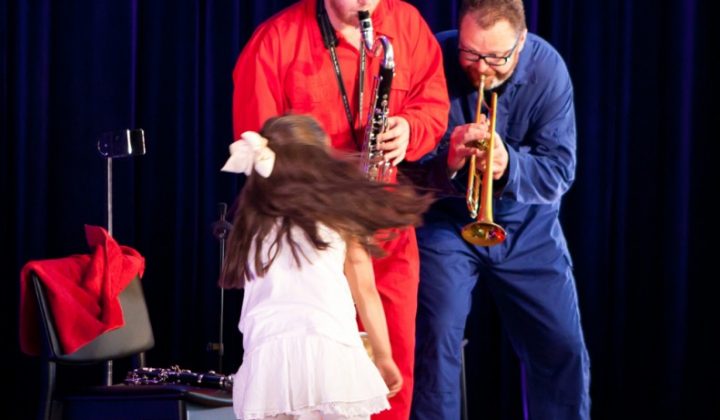 Nødvendig frivillighet