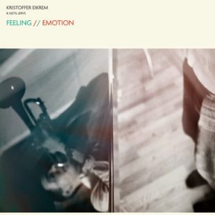 «Feeling/Emotion» cover