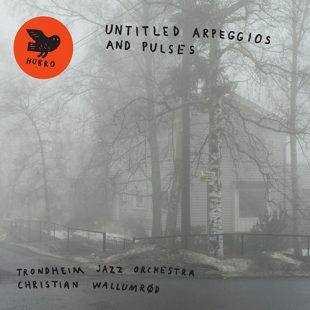 «Untitled Arpeggios and Pulses» cover