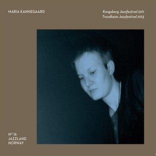 «Kongsberg Jazzfestival 2011 / Trondheim Jazzfestival 2013» cover