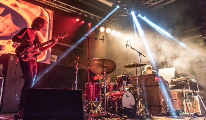 Jubel for elefanten i rommet