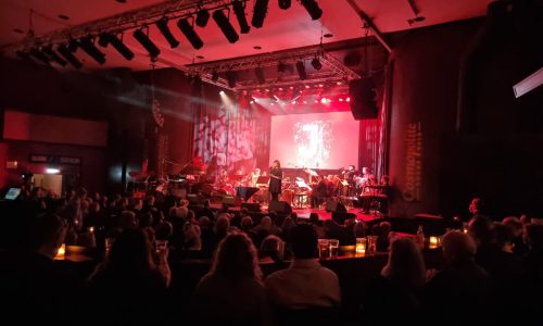 Norsk jazzforum søker Fagansvarlig (vikariat)