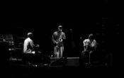 Kampenjazz: Harald Lassen Trio