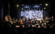What`s cooking – Kitchen Orchestra