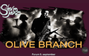 STORMJAZZ: Olive Branch