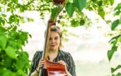 Signe Førre Kvartett – &laquo;FAGERT&raquo; i Bodø