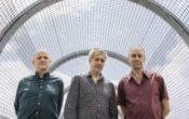 THE NECKS