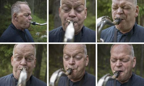 NTT: Slåtter i livets toneart