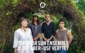 ZOH AMBA SUN ENSEMBLE