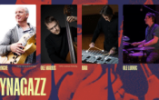 YNAGAZZ