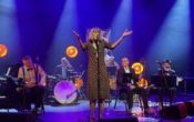 Jazzcafe med South City Stompers