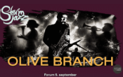 STORMJAZZ: Olive Branch
