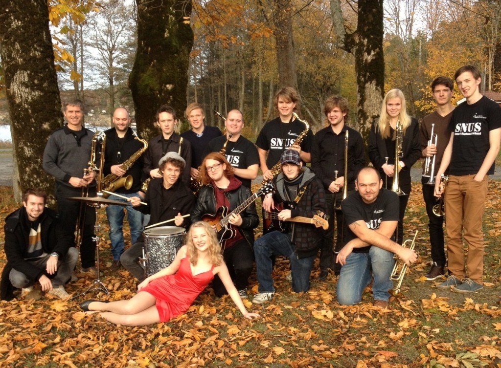 Sørnorsk Ungdomsstorband 2012-2013