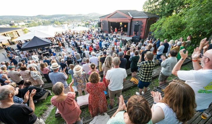 Tildelinger ad hoc-støtte 2024