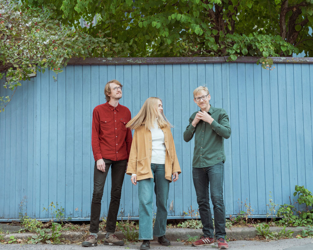 Vinterhagen er Andreas Skår Winther på trommer, Liv Andrea Hauge på piano og Fredrik Luhr Dietrichson på kontrabass. Foto: presse 