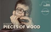 PIECES OF WOOD