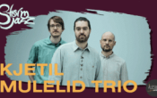 STORMJAZZ: Jazzcafé med Kjetil Mulelid trio